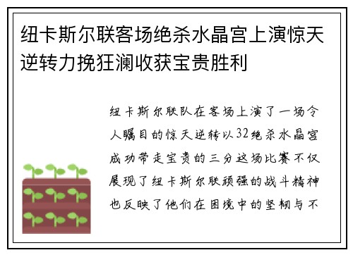 纽卡斯尔联客场绝杀水晶宫上演惊天逆转力挽狂澜收获宝贵胜利
