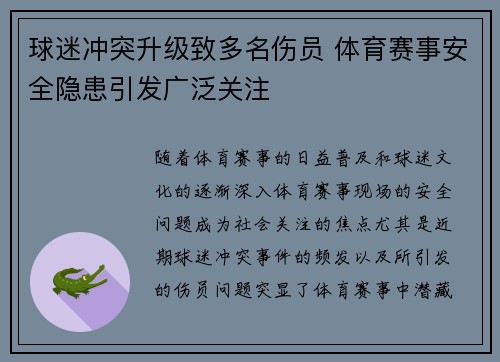 球迷冲突升级致多名伤员 体育赛事安全隐患引发广泛关注